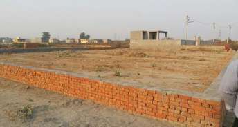  Plot For Resale in Pari Chowk Greater Noida 6841671