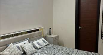 2 BHK Apartment For Rent in Kandivali West Mumbai 6842100