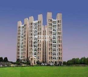 3 BHK Apartment For Rent in Rohtas Plumeria Gomti Nagar Lucknow 6842337