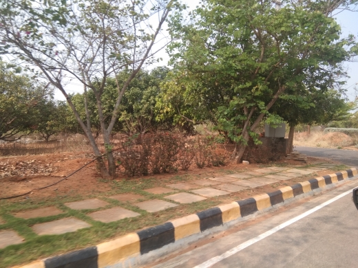  Plot For Resale in Nadergul Hyderabad 6842535