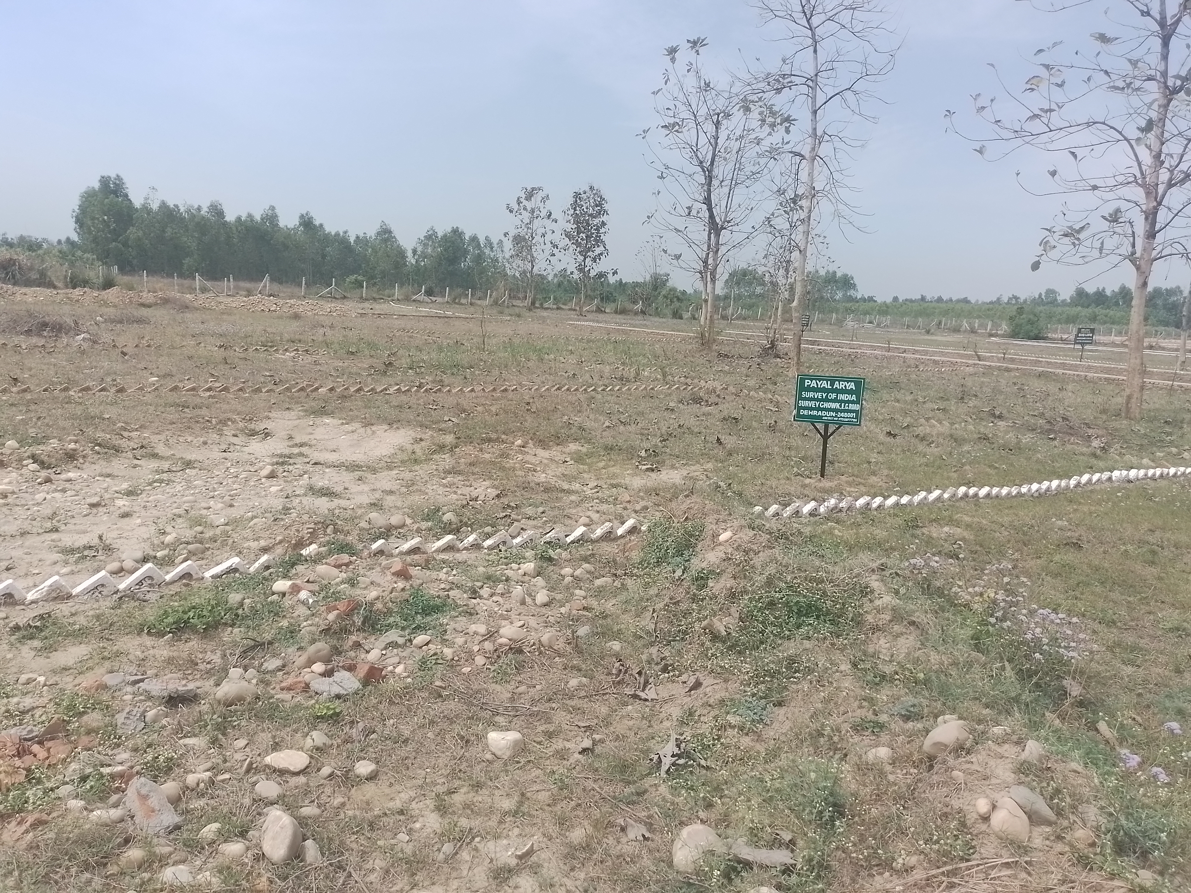 Plot For Resale in Shimla Road Dehradun  6842712