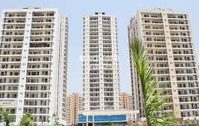 3 BHK Apartment For Rent in Rani Aakriti Shantiniketan Sector 143 Noida 6842898