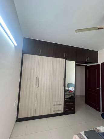 3 BHK Apartment For Rent in SJR Blue Waters Off Sarjapur Road Bangalore 6843017