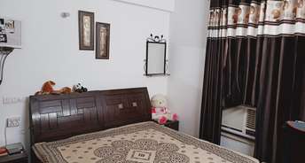 2 BHK Apartment For Rent in Patiala Road Zirakpur 6843082