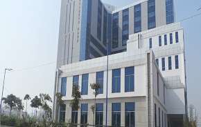 Commercial Office Space 500 Sq.Ft. For Rent In Sector 48 Gurgaon 6843360
