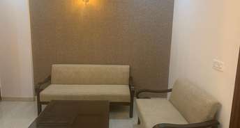 1 BHK Apartment For Resale in Aerocity Mohali 6843621