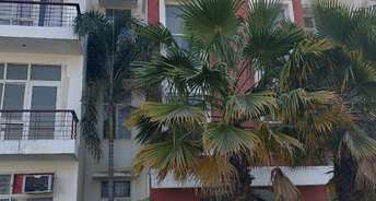 3 BHK Builder Floor For Rent in Ansal  API Palm Floors Sushant Golf City Lucknow 6843909