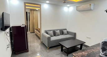 2.5 BHK Builder Floor For Rent in Ansal Sushant Lok I Sector 43 Gurgaon 6843973