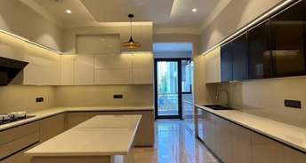 4 BHK Builder Floor For Rent in Sector 5 Gurgaon 6844460