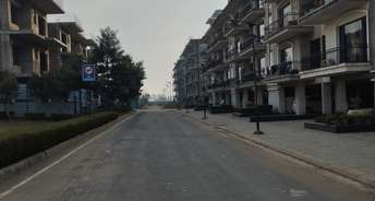 3 BHK Apartment For Resale in Manohar Singh Palm Residency North Mullanpur Chandigarh 6845589