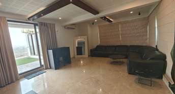 3 BHK Penthouse For Rent in Pavani Homes Jubilee Hills Hyderabad 6845493