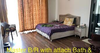 4 BHK Apartment For Rent in Green Valley Faridabad 6845516