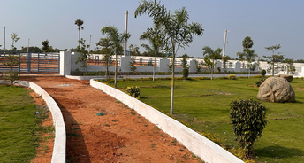  Plot For Resale in Choutuppal Hyderabad 6846002