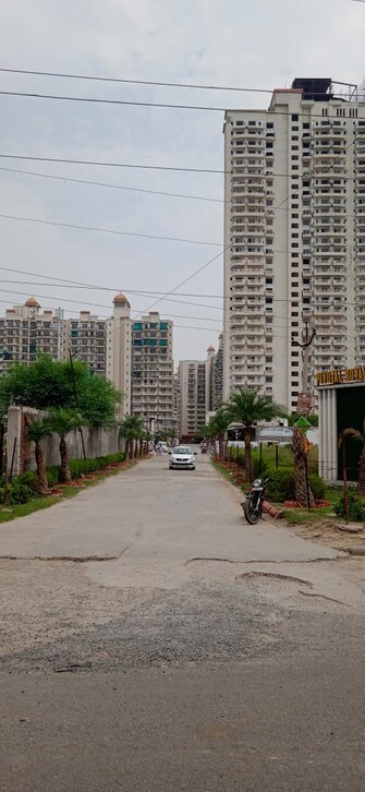 2 BHK Apartment For Resale in Ansal Royal Heritage Sector 70 Faridabad  6846446