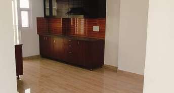 4 BHK Apartment For Rent in Amrapali Terrace Homes Noida Ext Tech Zone 4 Greater Noida 6846660