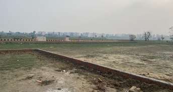  Plot For Resale in Madiyanva Lucknow 6846664