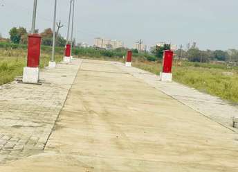  Plot For Rent in Gautam Buddha University Greater Noida 6846698