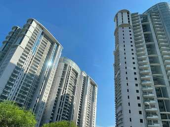 4 BHK Apartment For Rent in DLF The Belaire Sector 54 Gurgaon 6847175