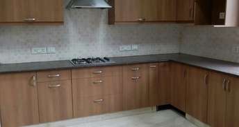 3 BHK Builder Floor For Rent in Rwa Anand Lok Apartment Panchsheel Park Delhi 6847362