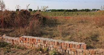  Plot For Resale in Adore Smart City Sector 97 Faridabad 6848020