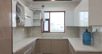 4 BHK Builder Floor For Resale in Sector 28 Faridabad 6848242