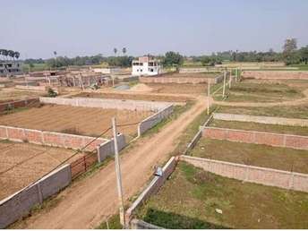 Plot For Resale in Najafgarh Delhi  6848862