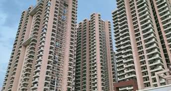 3 BHK Apartment For Resale in SKA Metro Ville Gn Sector Eta ii Greater Noida 6849025