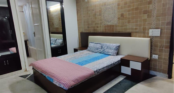 3 BHK Apartment For Rent in C Scheme Jaipur 6849167