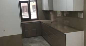 3 BHK Builder Floor For Rent in AK RWA Shalimar Bagh Shalimar Bagh Delhi 6849298