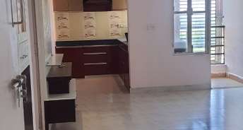 2 BHK Apartment For Rent in Saryu Enclave Ghuswal Kalan Lucknow 6849475