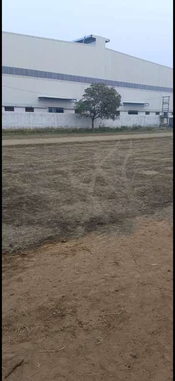 Commercial Industrial Plot 2200 Sq.Ft. For Resale In Ballabhgarh Faridabad 6840939