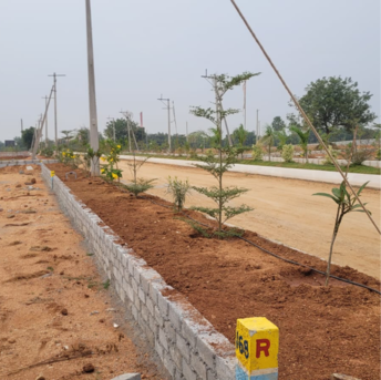 Plot For Resale in Choutuppal Hyderabad  6849897