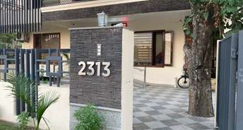 3 BHK Independent House For Rent in Phase 11 Mohali 6849858
