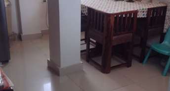 2 BHK Apartment For Resale in Peepal Apartments Sector 17, Dwarka Delhi 6849975
