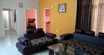 3 BHK Apartment For Rent in Sandwoods Spangle Condos Ghazipur Zirakpur 6850148