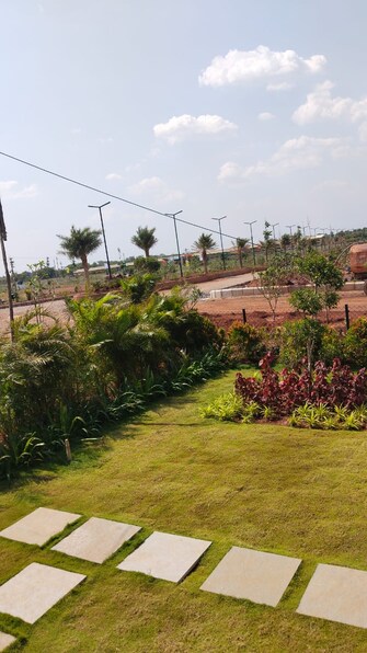 Plot For Resale in Nh 65 Hyderabad  6850211