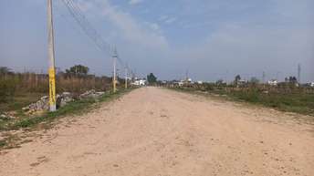  Plot For Resale in SectoR 33 Rohtak 6850287