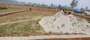 Plot For Resale in Jafrapur Ayodhya  6850374