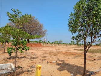 Plot For Resale in Vasudaika Cosmo Celesse Kandukur Hyderabad  6851119