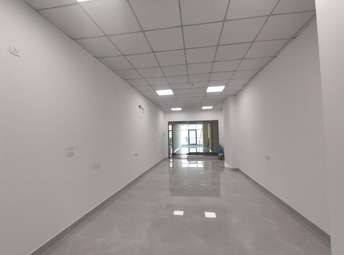Commercial Office Space in IT/SEZ 125000 Sq.Ft. For Rent In Sector 132 Noida 6852223