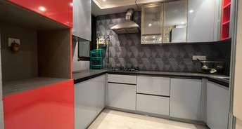 2 BHK Builder Floor For Rent in New Friends Colony Floors New Friends Colony Delhi 6852392