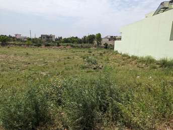  Plot For Resale in Sector 34 Ambala 6852512