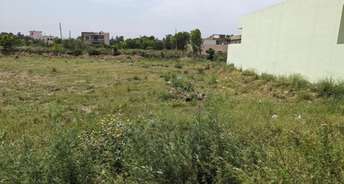  Plot For Resale in Sector 34 Ambala 6852512