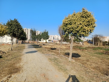 Plot For Resale in Raj Nagar Extension Ghaziabad  6852887