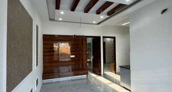 3 BHK Independent House For Resale in Sector 124 Mohali 6853490