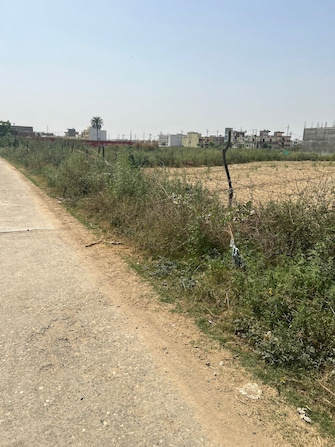 Plot For Resale in Noida Ext Knowledge Park V Greater Noida  6853812