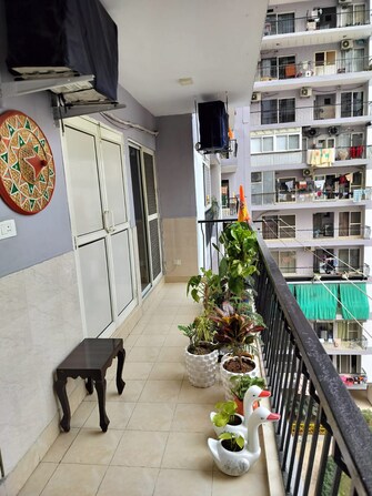 3 BHK Apartment For Resale in Grihapravesh Sector 77 Noida  6853958