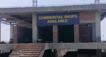 Commercial Shop 300 Sq.Ft. For Resale In Gaur City 2  Greater Noida 6854128