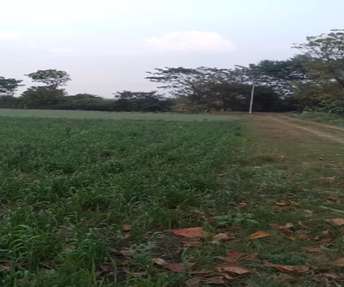 Commercial Land 1 Acre For Resale In Mukhed Nanded 6853209