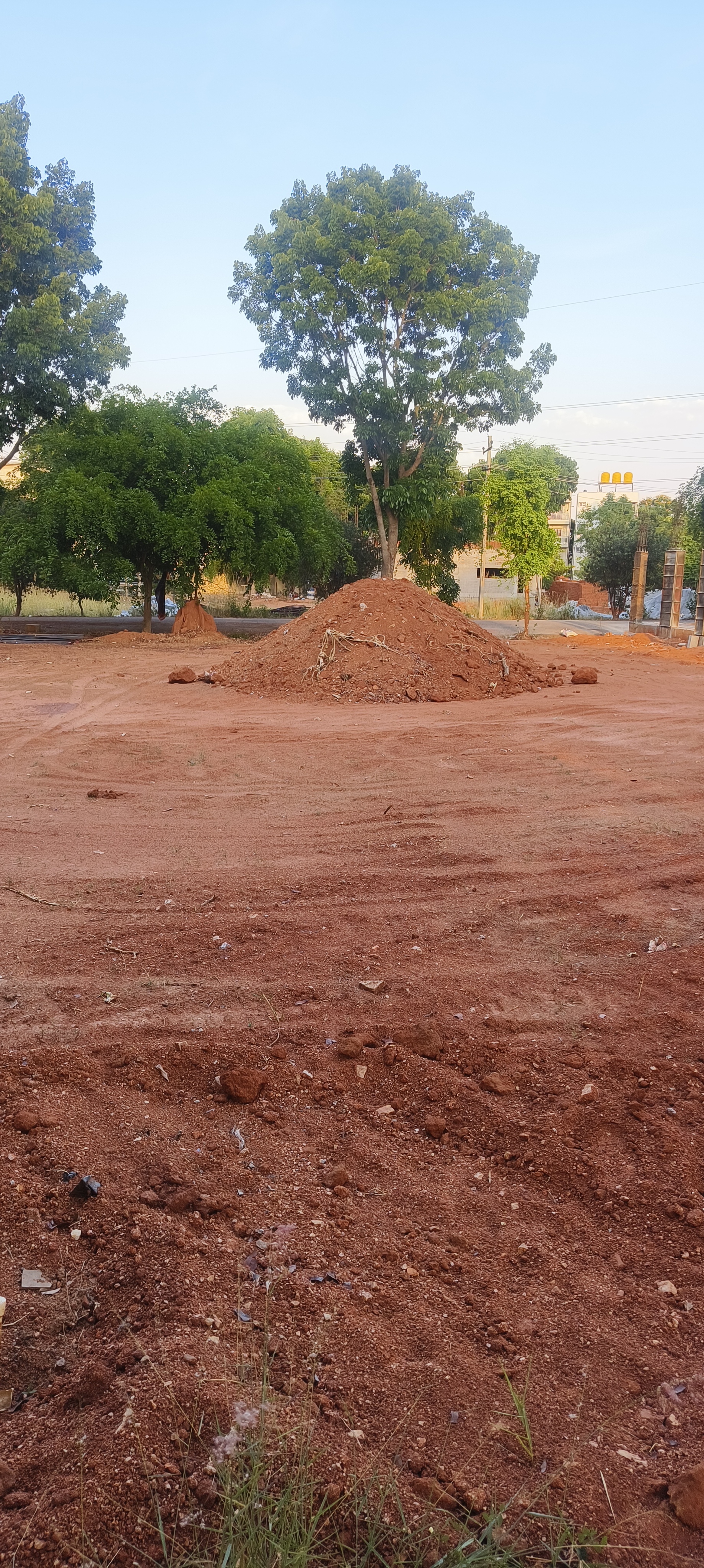 Resale 2500 Sq.Ft. Plot in Hsr Layout Bangalore 7556441